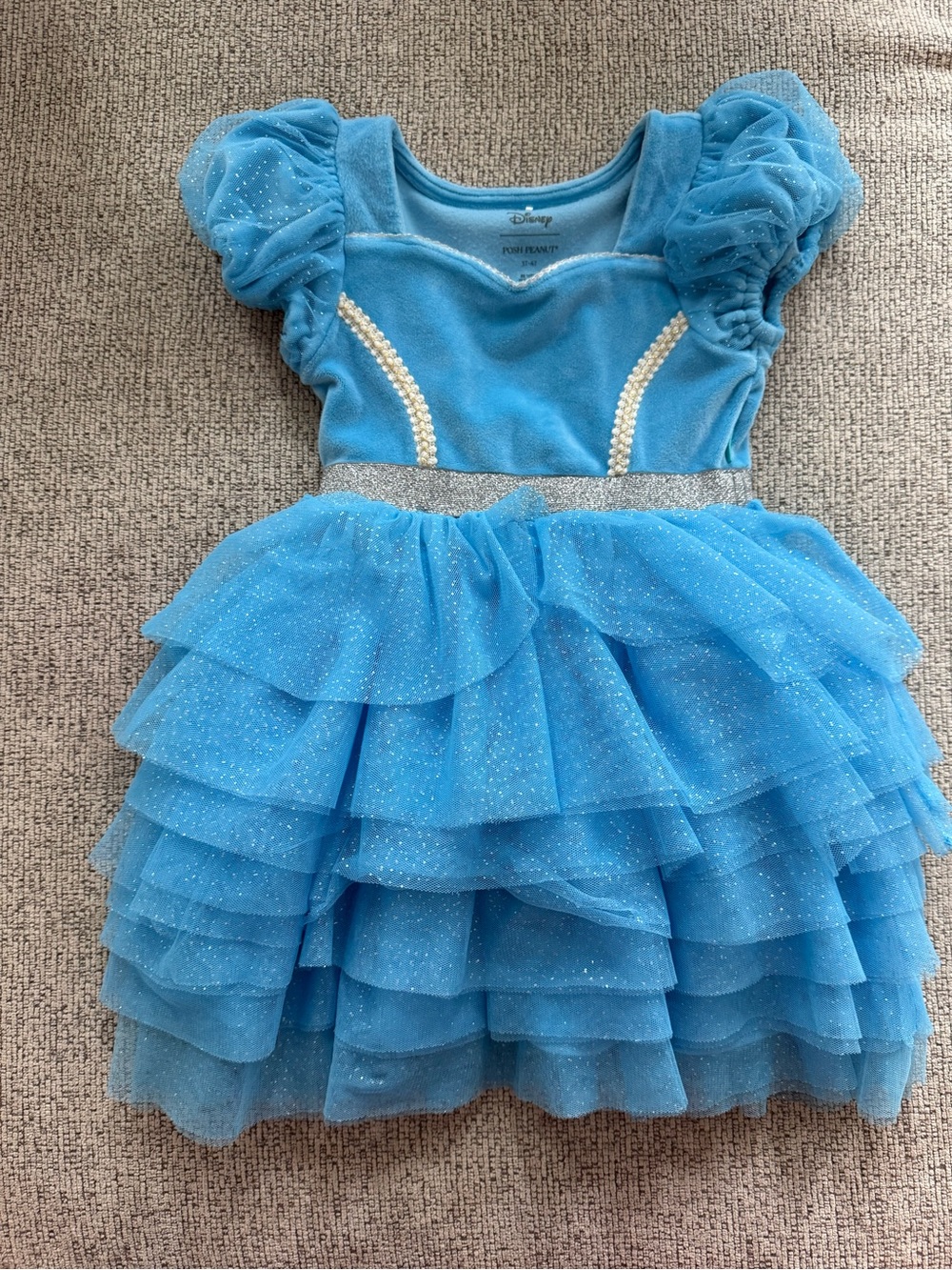 Posh Peanut Cinderella Velour Tulle Dress